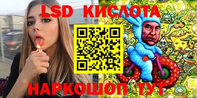 сатива Кандалакша