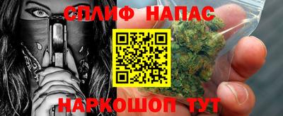 сатива Кандалакша