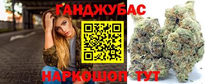 сатива Кандалакша