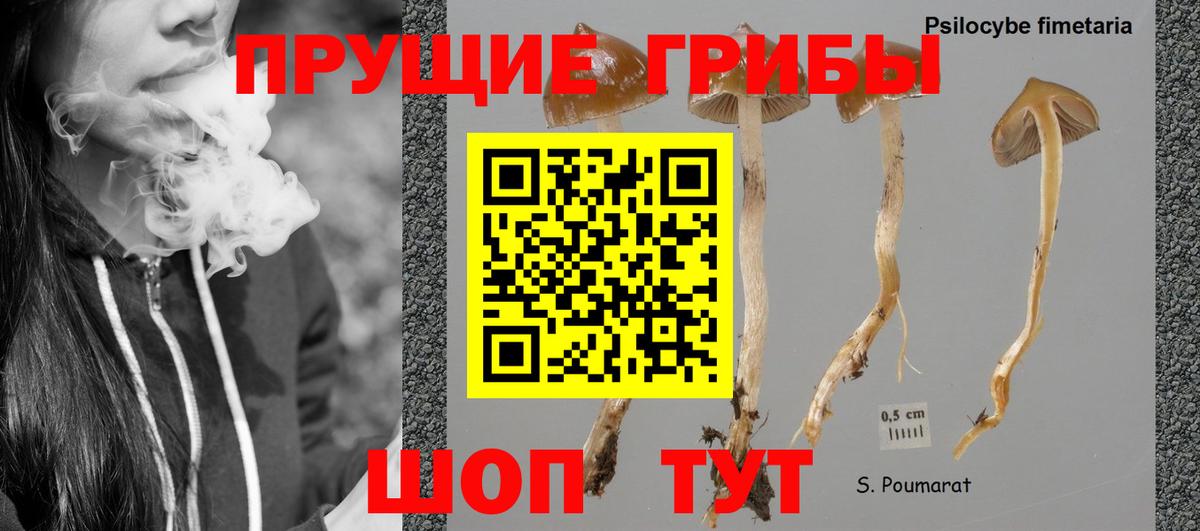 Галлюциногенные грибы мицелий Элиста