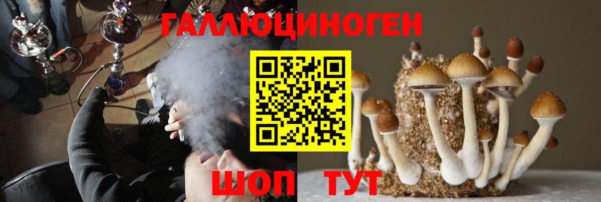 Элиста  Псилоцибиновые грибы MAGIC MUSHROOMS  Вход с VPN 